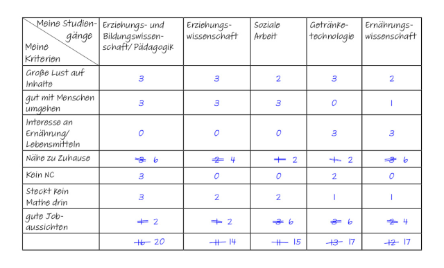 gr studienwahl matrix gewichtet